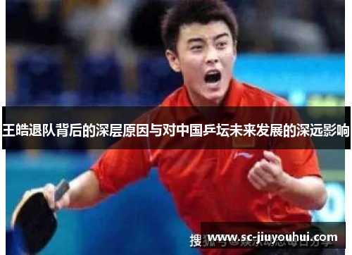 王皓退队背后的深层原因与对中国乒坛未来发展的深远影响