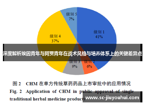 深度解析埃因青年与阿贾青年在战术风格与培养体系上的关键差异点 深度解析埃因青年与阿贾青年在战术风格与培养体系上的关键差异点