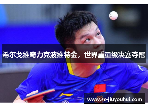 希尔戈维奇力克波维特金,世界重量级决赛夺冠 希尔戈维奇力克波维特金,世界重量级决赛夺冠