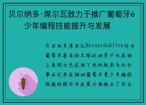 贝尔纳多·席尔瓦致力于推广葡萄牙青少年编程技能提升与发展