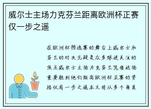 威尔士主场力克芬兰距离欧洲杯正赛仅一步之遥